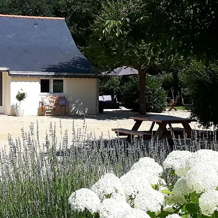 Chateau La Mothaye - Self Catering With Pool In The Loire Valley 招待所 Les Bois-d'Anjou