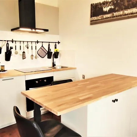 Konukevi Chateau La Mothaye - Self Catering With Pool In The Loire Valley *