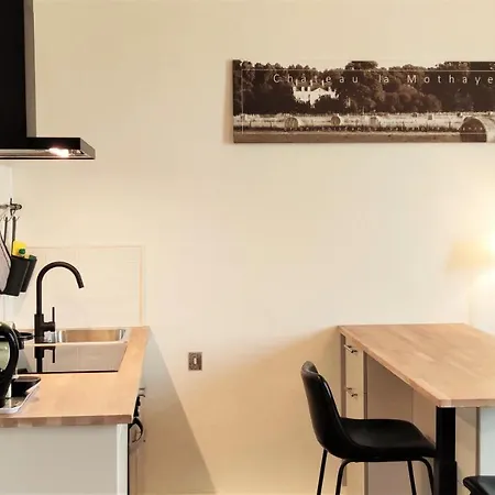 Chateau La Mothaye - Self Catering With Pool In The Loire Valley