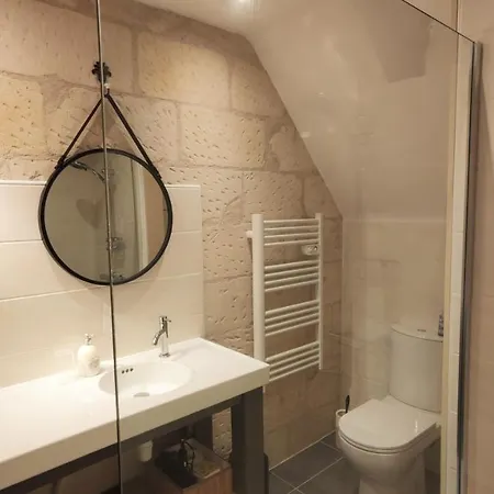 بيت ضيافة Chateau La Mothaye - Self Catering With Pool In The Loire Valley Les Bois-d'Anjou