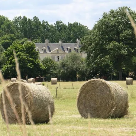 Gasthuis Chateau La Mothaye - Self Catering With Pool In The Loire Valley