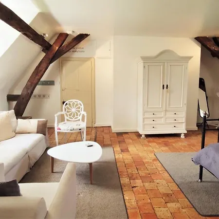 Gasthuis Chateau La Mothaye - Self Catering With Pool In The Loire Valley Les Bois-d'Anjou