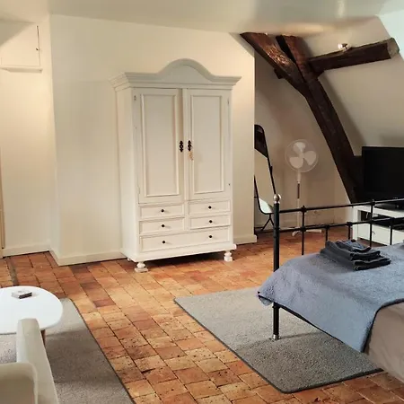 Gasthuis Chateau La Mothaye - Self Catering With Pool In The Loire Valley