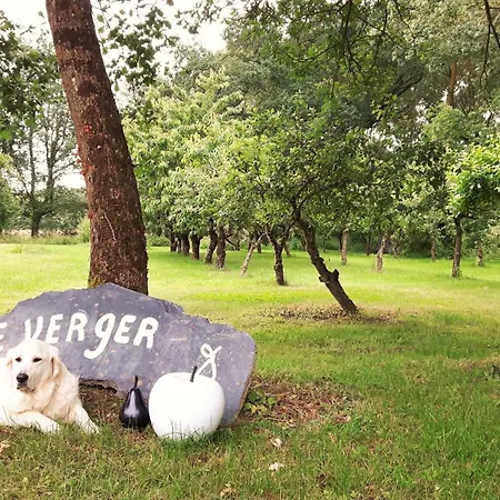 بيت ضيافة Chateau La Mothaye - Self Catering With Pool In The Loire Valley