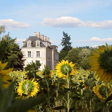Chateau La Mothaye - Self Catering With Pool In The Loire Valley