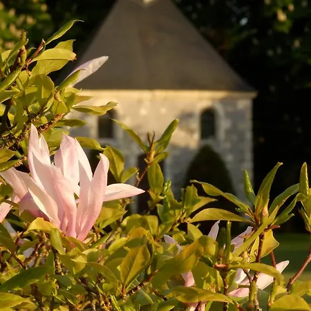 Konukevi Chateau La Mothaye - Self Catering With Pool In The Loire Valley *