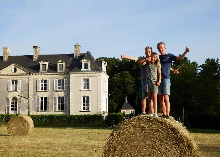 Chateau La Mothaye - Self Catering With Pool In The Loire Valley *