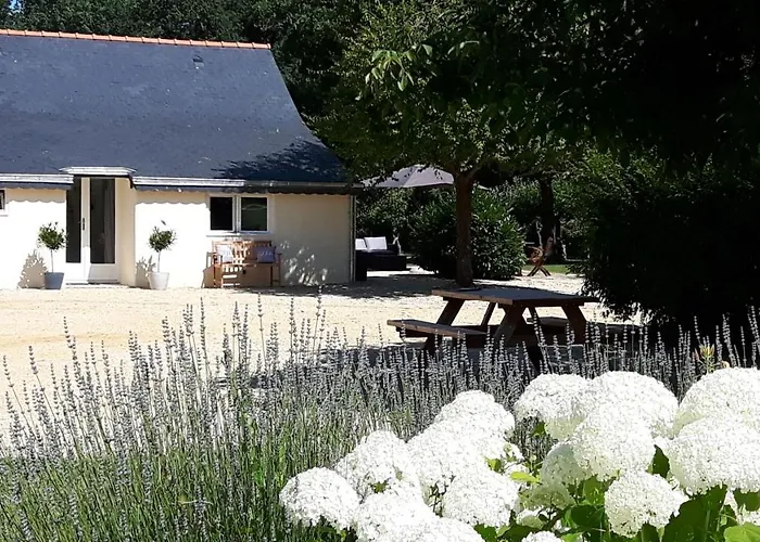 Chateau La Mothaye - Self Catering With Pool In The Loire Valley 招待所 Les Bois-d'Anjou