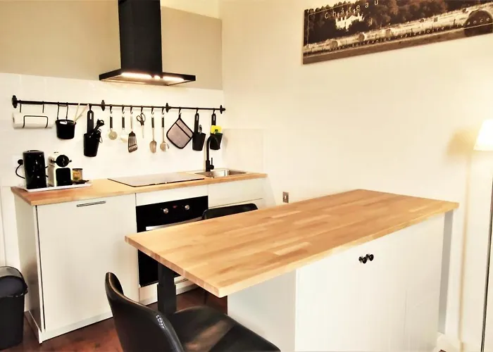 招待所 Chateau La Mothaye - Self Catering With Pool In The Loire Valley *