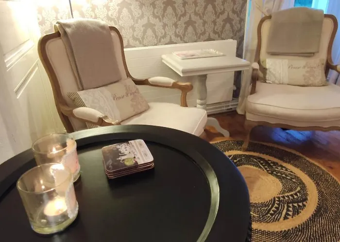 Chateau La Mothaye - Self Catering With Pool In The Loire Valley 招待所