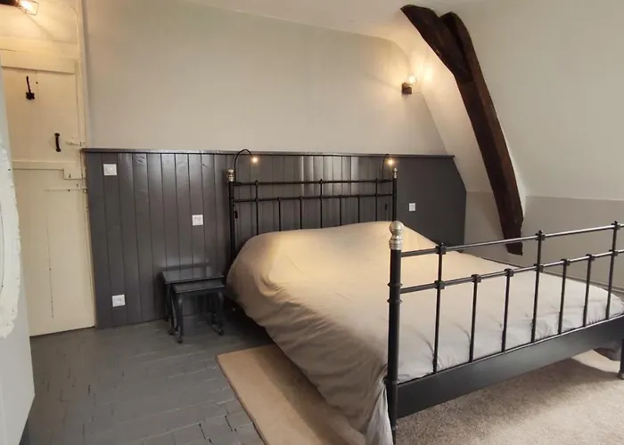 Chateau La Mothaye - Self Catering With Pool In The Loire Valley