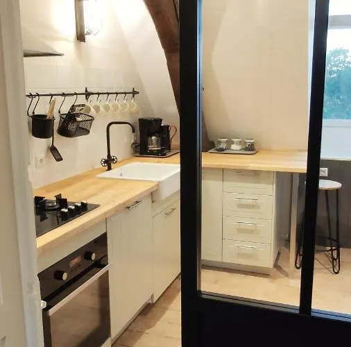 Chateau La Mothaye - Self Catering With Pool In The Loire Valley *