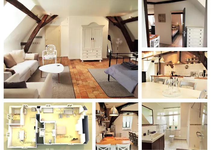 Chateau La Mothaye - Self Catering With Pool In The Loire Valley *