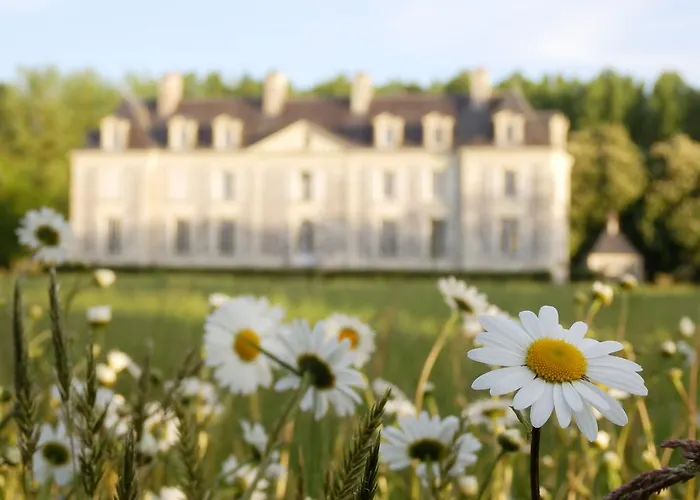 招待所 Chateau La Mothaye - Self Catering With Pool In The Loire Valley