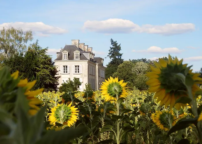 Chateau La Mothaye - Self Catering With Pool In The Loire Valley