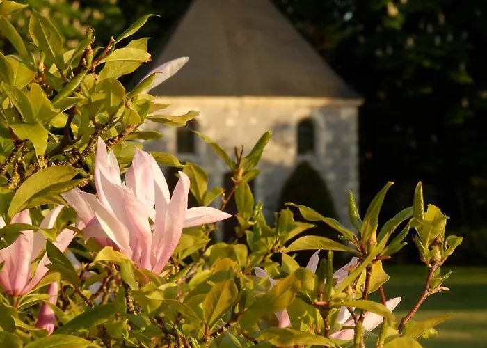 招待所 Chateau La Mothaye - Self Catering With Pool In The Loire Valley *