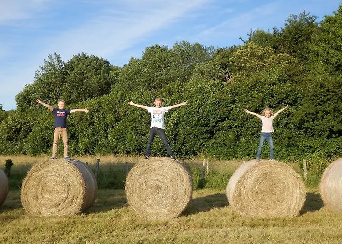 Chateau La Mothaye - Self Catering With Pool In The Loire Valley 招待所 *